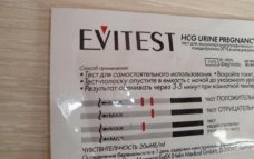 эвитест до задержки отзывы