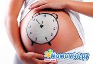 Расчет предположительной даты родов