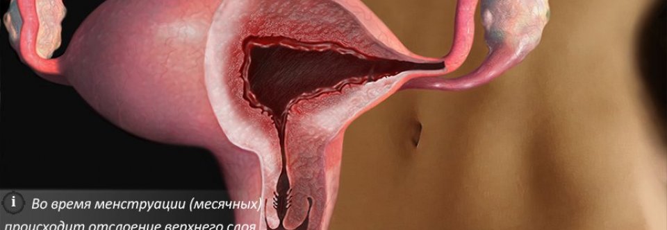 Цикл после медикаментозного прерывания беременности