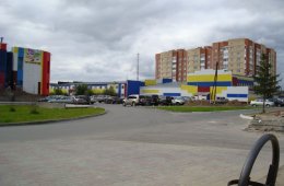 Картинки беременности по неделям