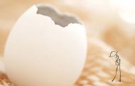 Запрещенные или нежелательные продукты